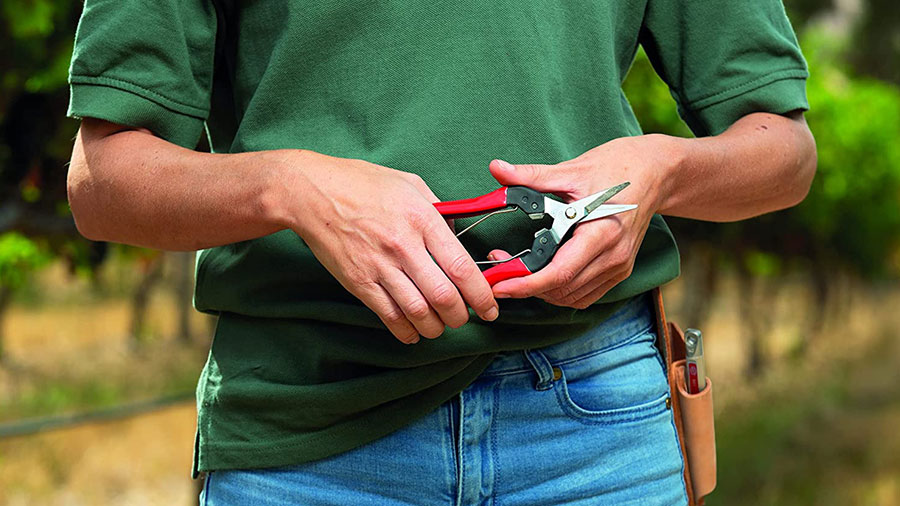 épinette Felco 320, 321 et 322 épinette Felco 320, 321 et 322